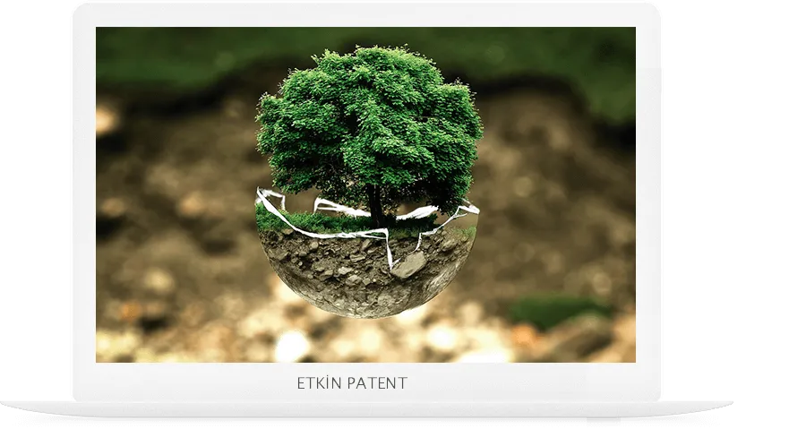 patent on koruma yöntemleri-zeytinburnu web tasarım